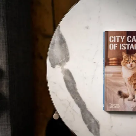 Cozy & Stylish 1br Retreat - Heart Of Galata! #416 Istanbul